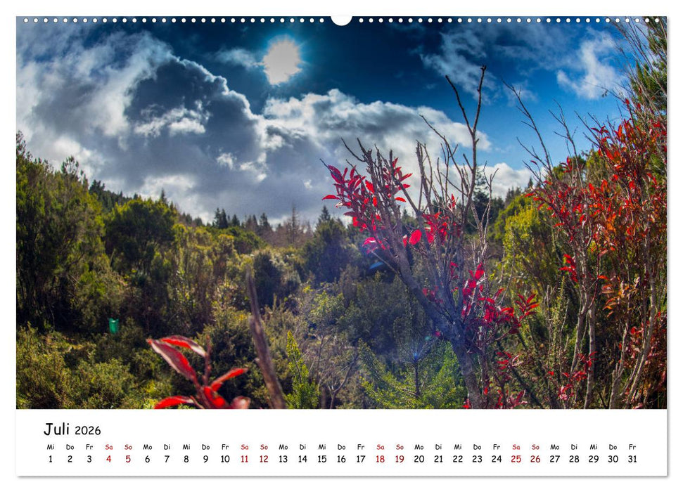 Madeira Magie (CALVENDO Premium Wandkalender 2026)
