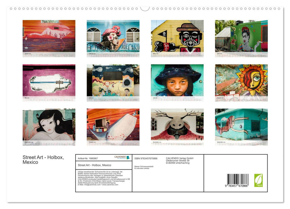 Street Art - Holbox, Mexico (CALVENDO Wandkalender 2026)