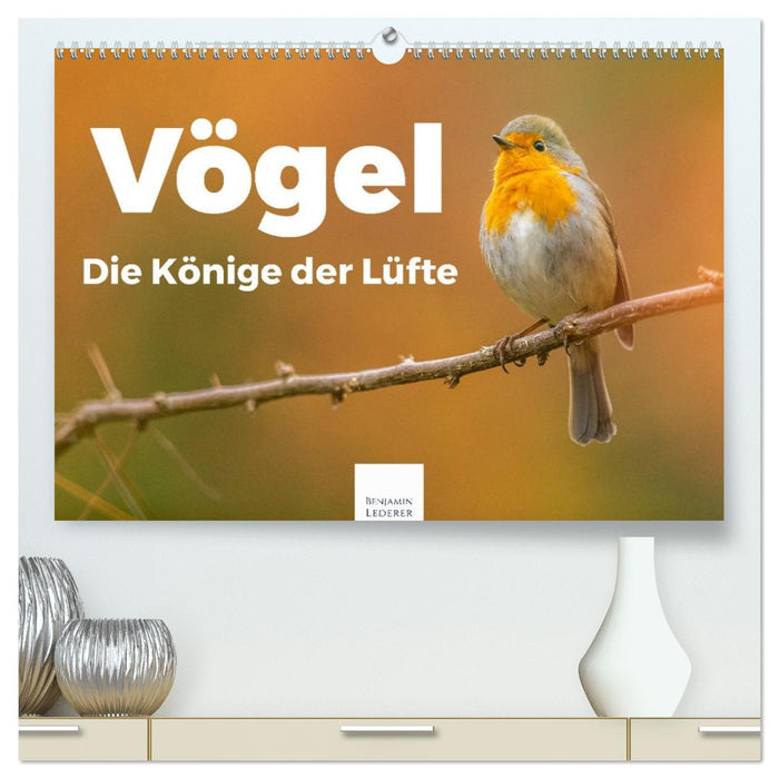 Vögel - Die Könige der Lüfte (CALVENDO Premium Wandkalender 2026)