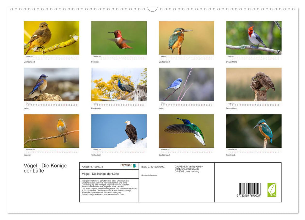 Vögel - Die Könige der Lüfte (CALVENDO Premium Wandkalender 2026)