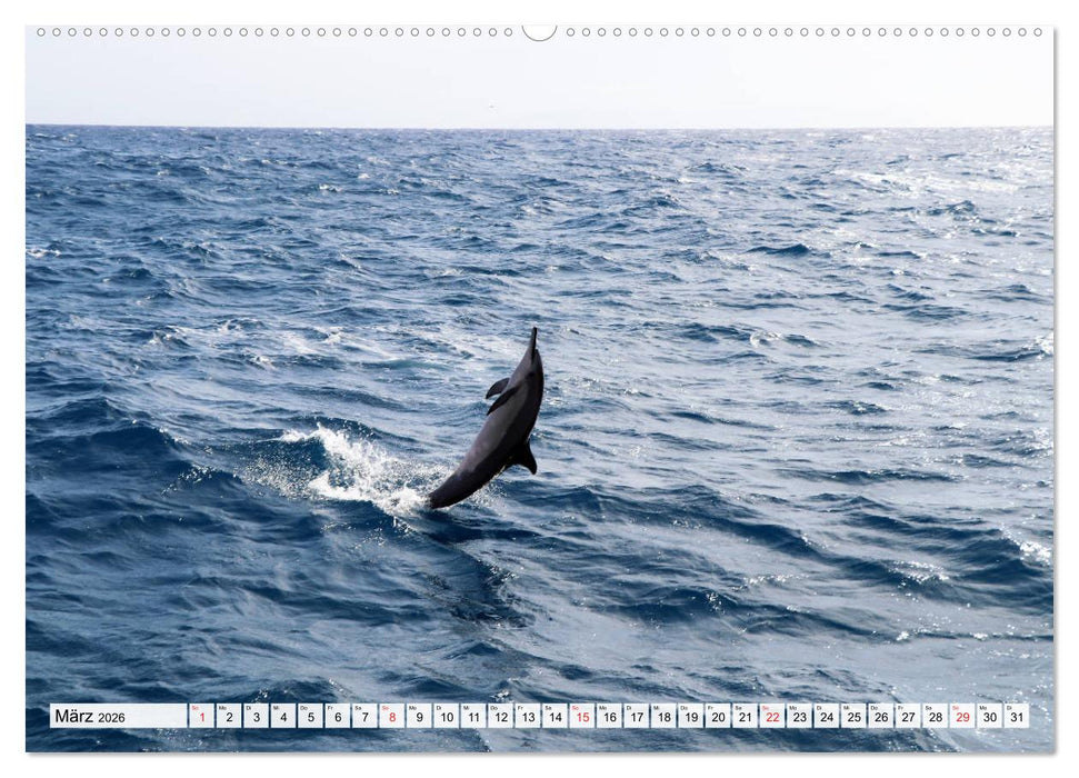 Hawaii the Aloha State (CALVENDO Premium Wandkalender 2026)