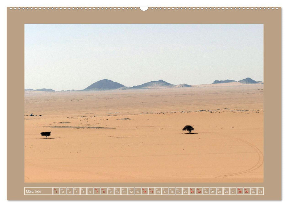 Algerien - Schluchten und Sandberge in den Tassilis (CALVENDO Wandkalender 2026)