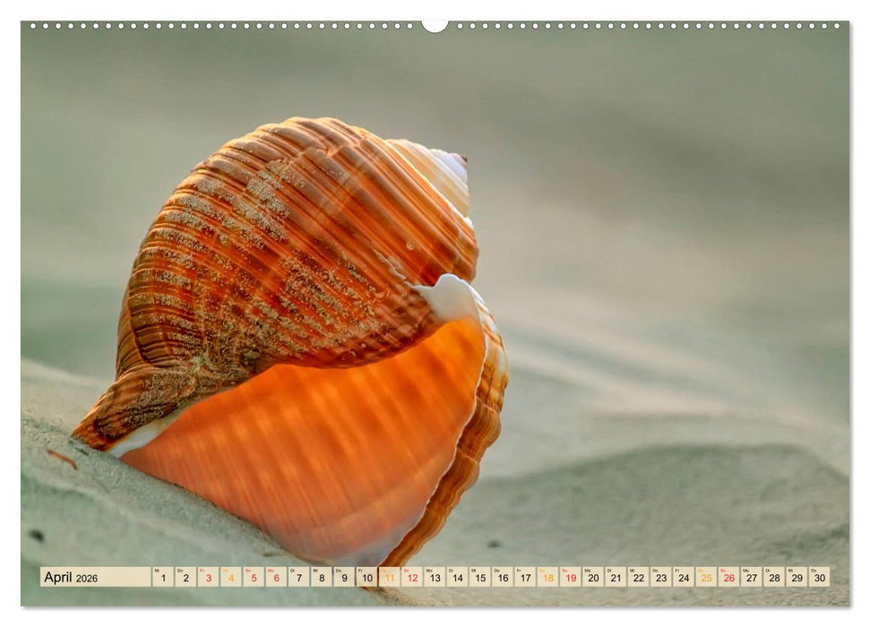 Maritime Welten (CALVENDO Premium Wandkalender 2026)