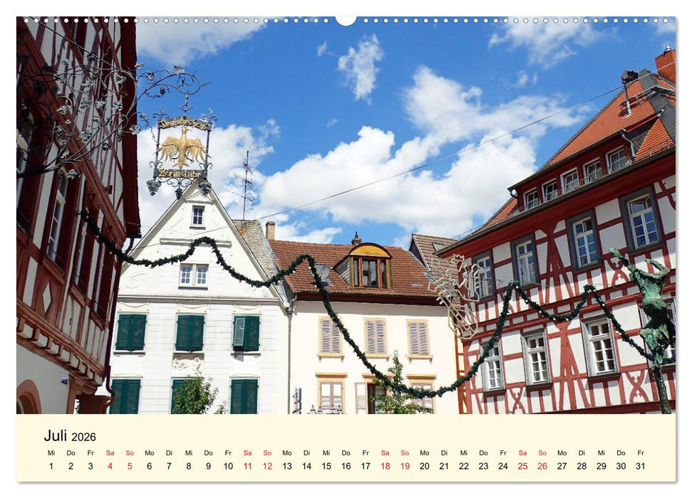Schönes Alzey - Fachwerk, Wein und Rossmarktplatz (CALVENDO Premium Wandkalender 2026)
