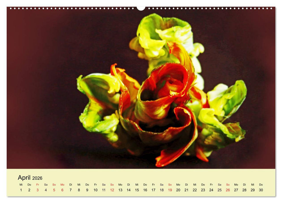 Fantastische Reise in die Welt der Blumen (CALVENDO Premium Wandkalender 2026)