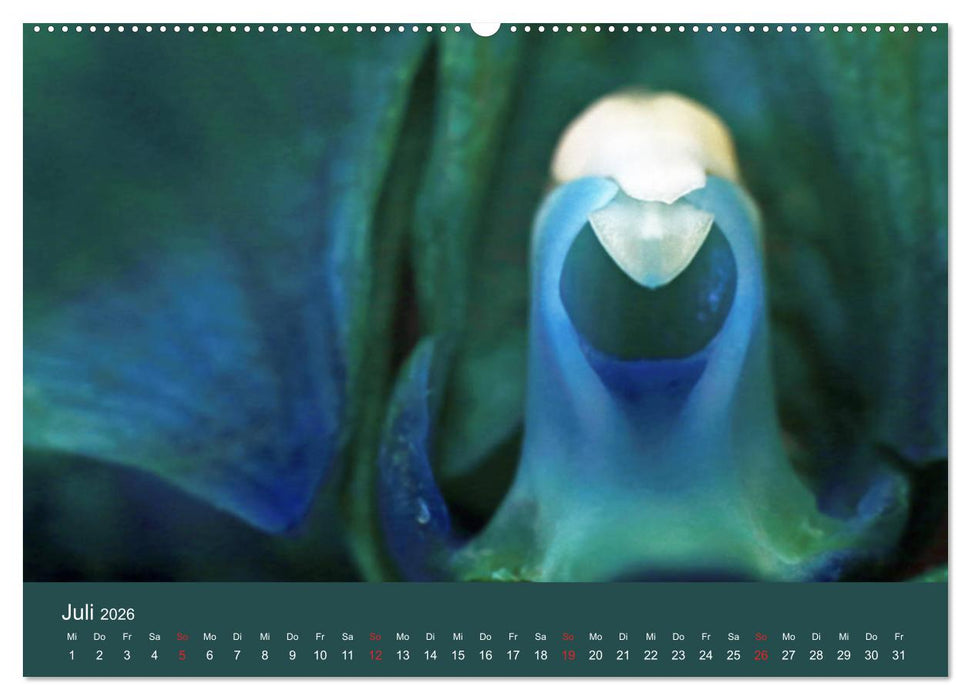 Fantastische Reise in die Welt der Blumen (CALVENDO Premium Wandkalender 2026)