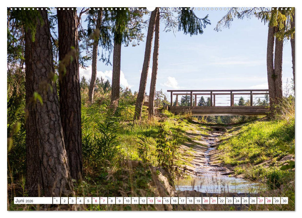 Zauberhaftes Südtirol (CALVENDO Premium Wandkalender 2026)