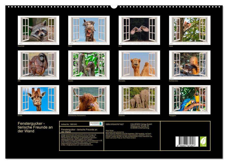 Fenstergucker - tierische Freunde an der Wand (CALVENDO Wandkalender 2026)
