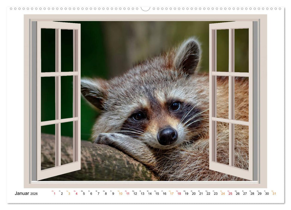 Fenstergucker - tierische Freunde an der Wand (CALVENDO Wandkalender 2026)
