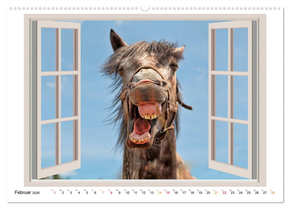 Fenstergucker - tierische Freunde an der Wand (CALVENDO Wandkalender 2026)