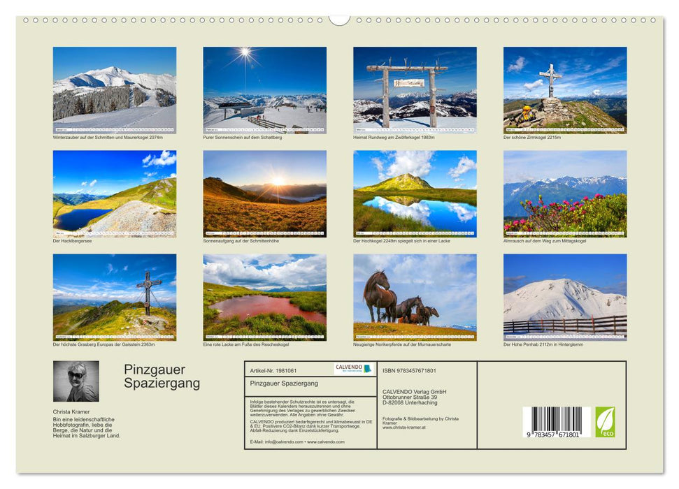 Pinzgauer Spaziergang (CALVENDO Premium Wandkalender 2026)