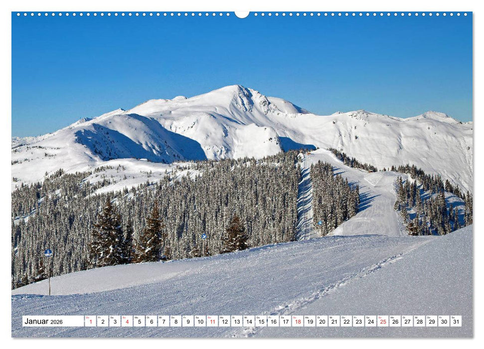 Pinzgauer Spaziergang (CALVENDO Premium Wandkalender 2026)