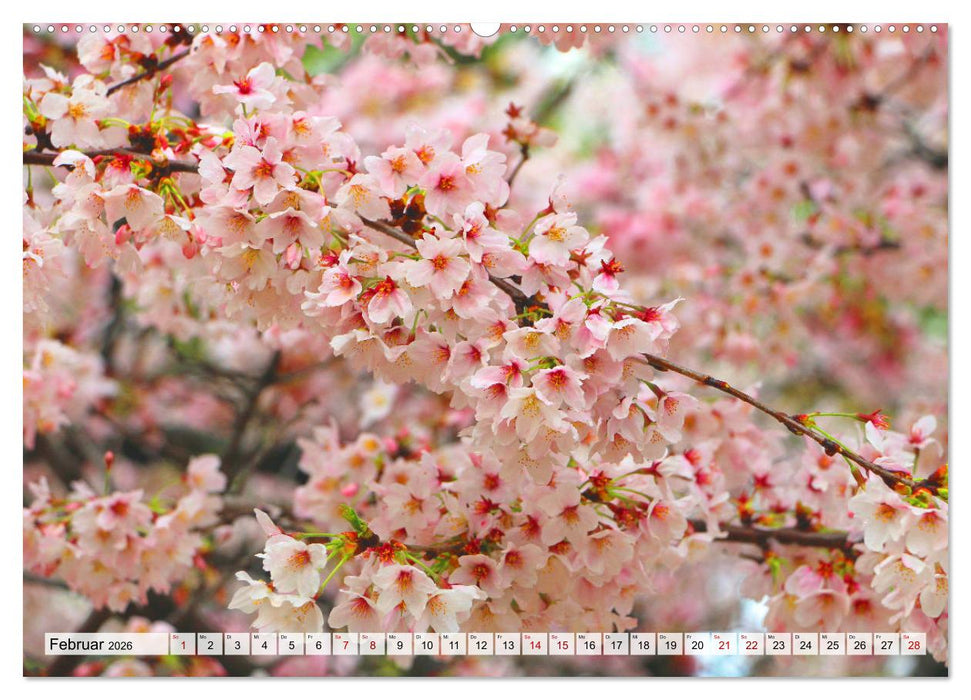 Japan das Land der aufgehenden Sonne (CALVENDO Wandkalender 2026)