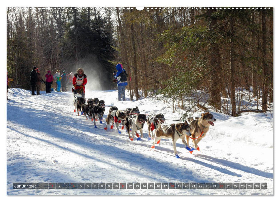 Great Lakes - Die großen Seen (CALVENDO Premium Wandkalender 2026)
