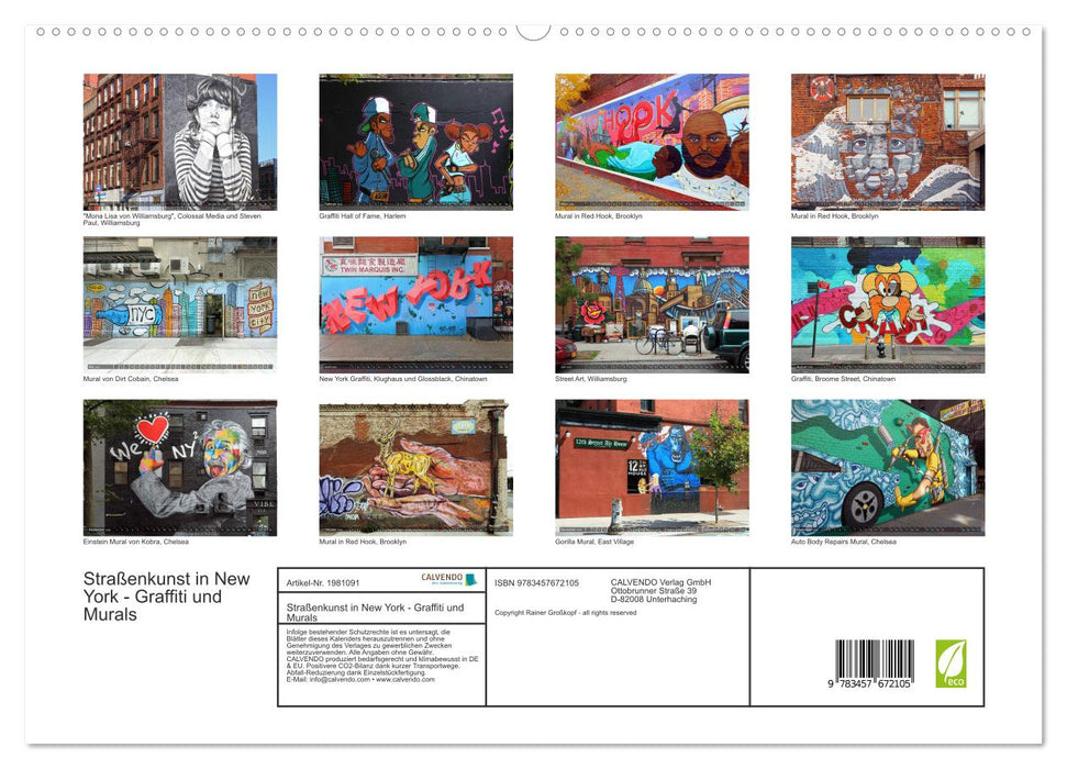 Straßenkunst in New York - Graffiti und Murals (CALVENDO Premium Wandkalender 2026)
