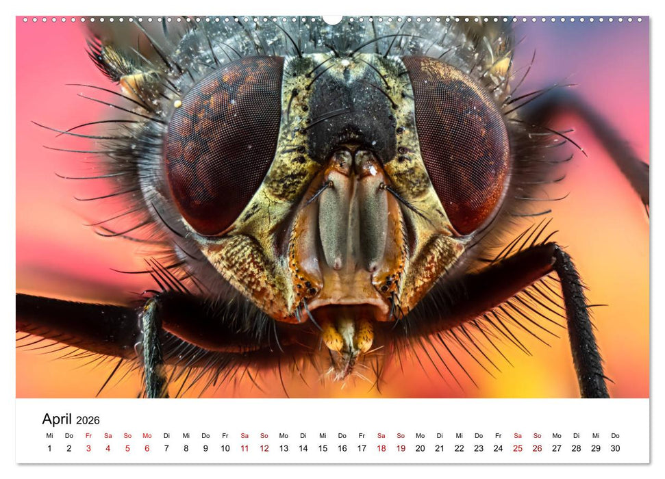 Oberbayerischer Insekten Kalender (CALVENDO Premium Wandkalender 2026)