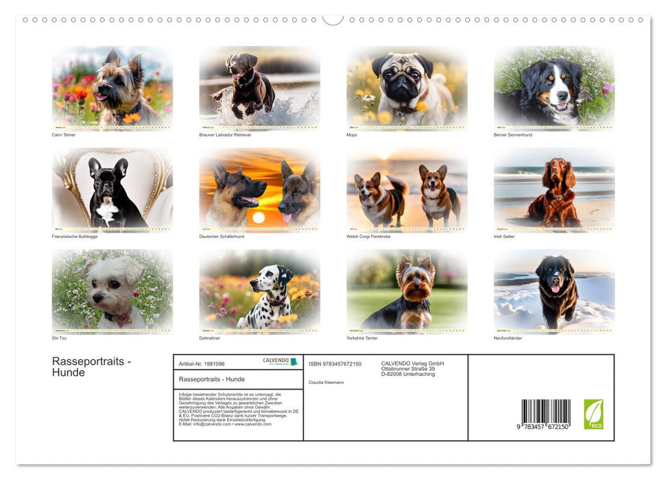Rasseportraits - Hunde (CALVENDO Premium Wandkalender 2026)