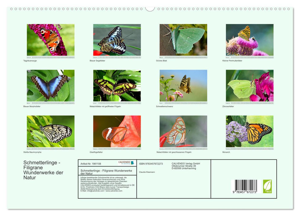 Schmetterlinge - Filigrane Wunderwerke der Natur (CALVENDO Premium Wandkalender 2026)