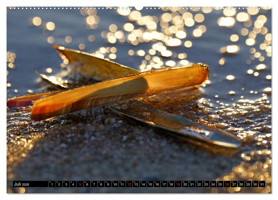 Sylt ist Meer (CALVENDO Premium Wandkalender 2026)
