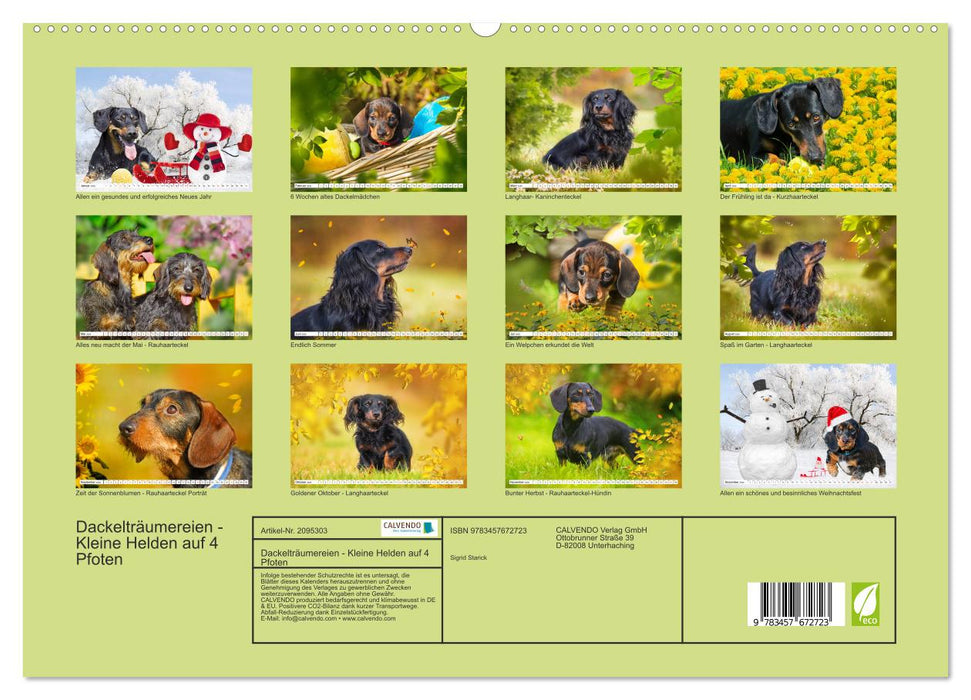 Dackelträumereien - Kleine Helden auf 4 Pfoten (CALVENDO Premium Wandkalender 2026)