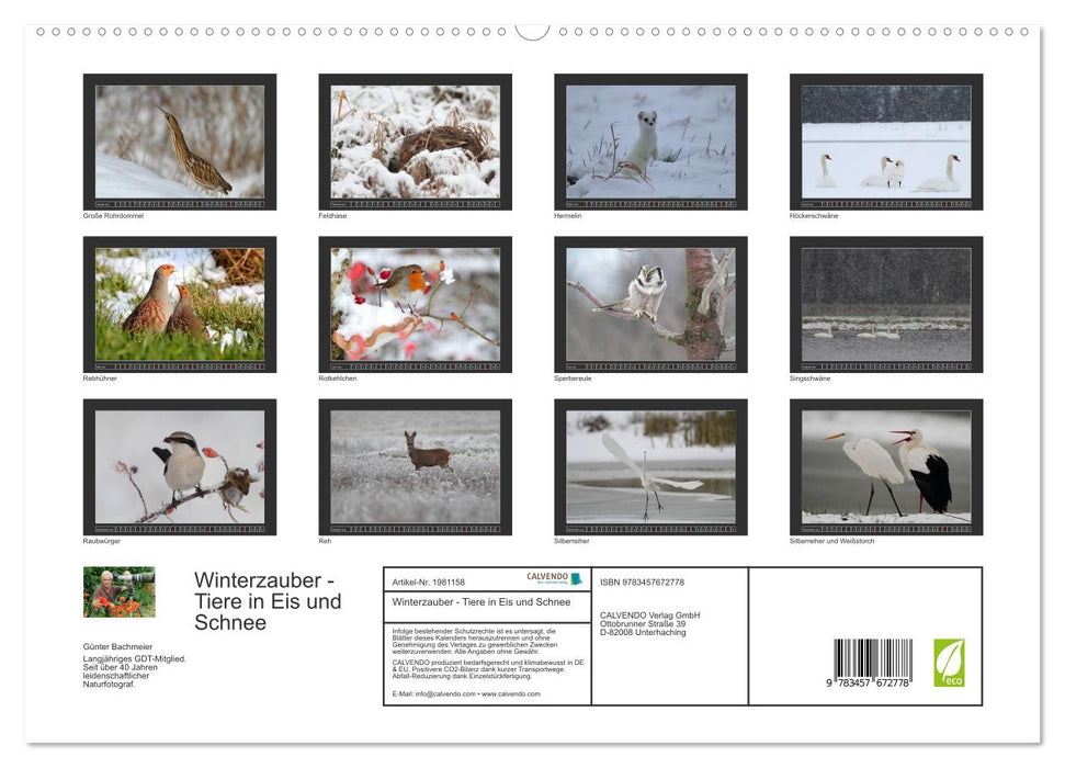 Winterzauber - Tiere in Eis und Schnee (CALVENDO Premium Wandkalender 2026)