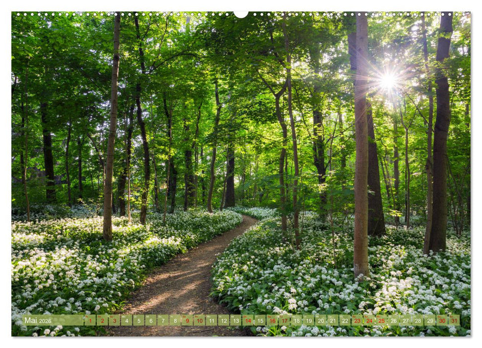 Wege zur Entspannung 2026 (CALVENDO Premium Wandkalender 2026)