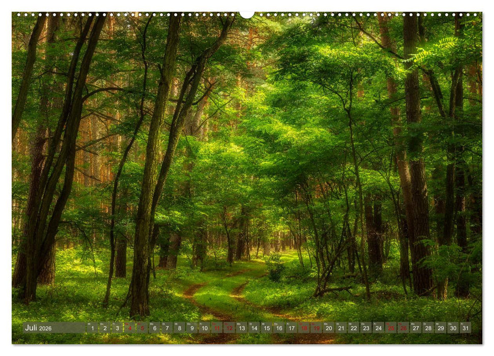 Wege zur Entspannung 2026 (CALVENDO Premium Wandkalender 2026)