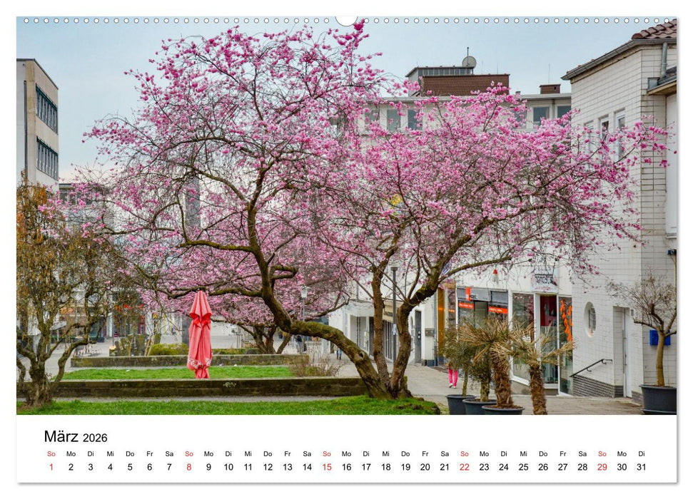 Kassel - Morgenlicht (CALVENDO Premium Wandkalender 2026)