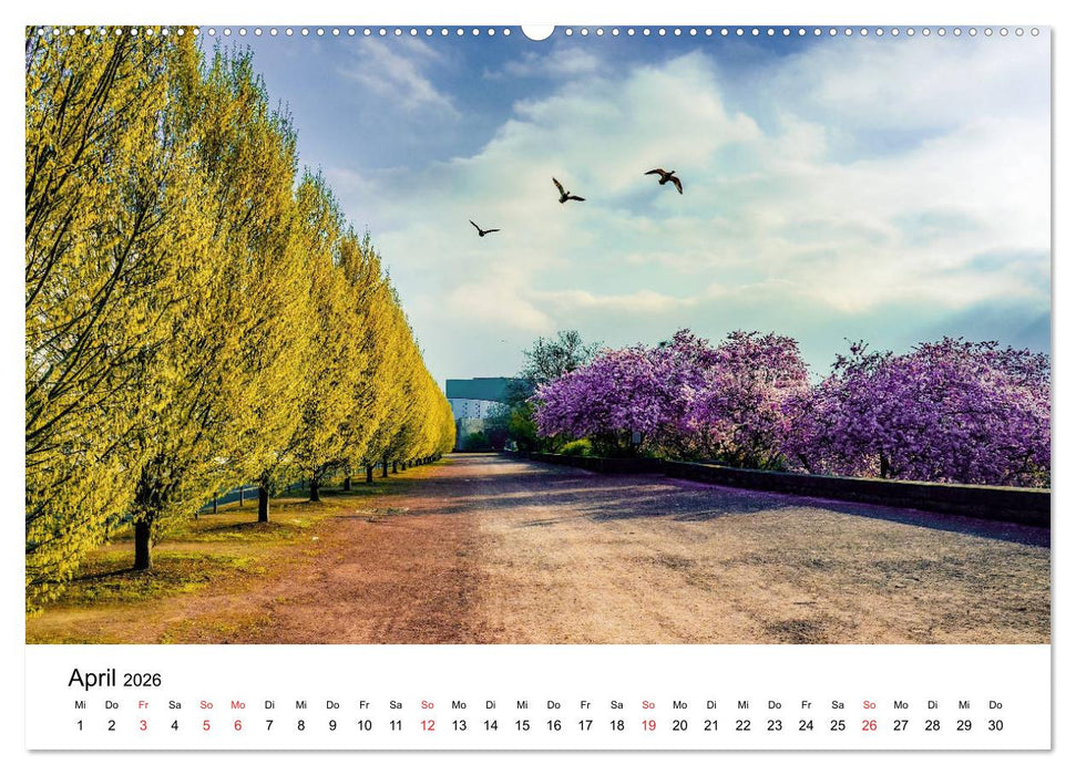 Kassel - Morgenlicht (CALVENDO Premium Wandkalender 2026)