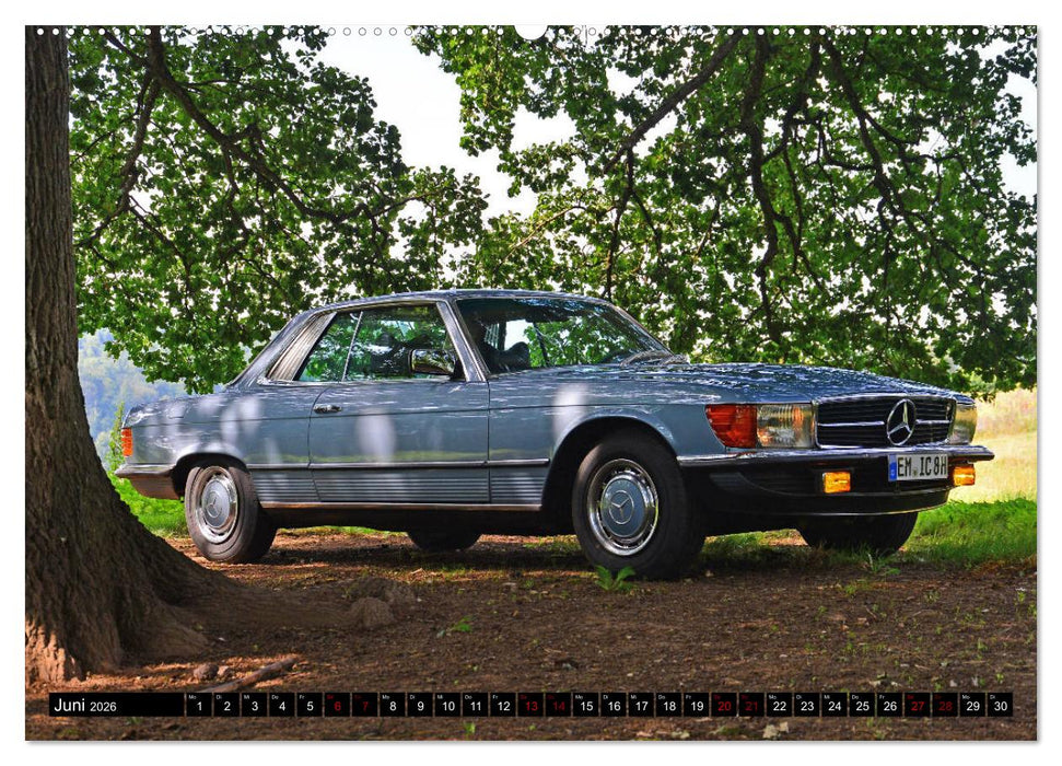 SLC Eleganz hat einen Namen (CALVENDO Wandkalender 2026)