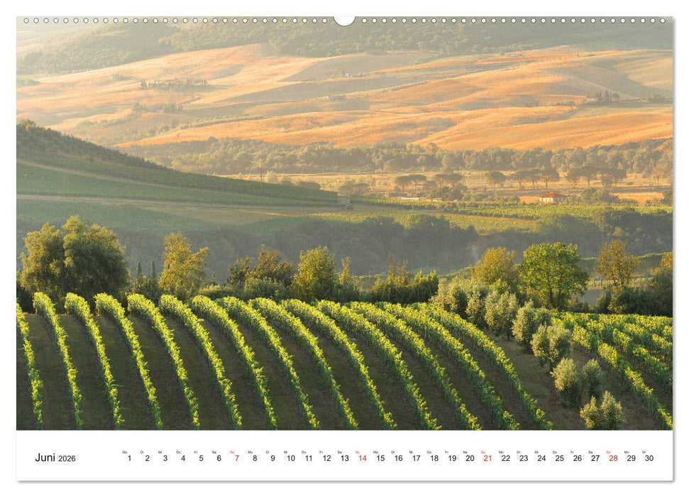 Licht und Landschaft - magisch! (CALVENDO Wandkalender 2026)