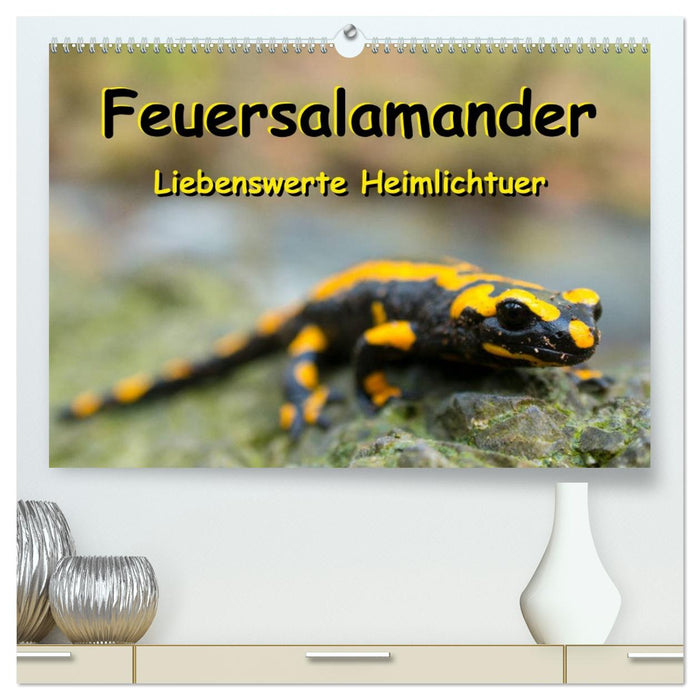 Feuersalamander - Liebenswerte Heimlichtuer (CALVENDO Premium Wandkalender 2026)