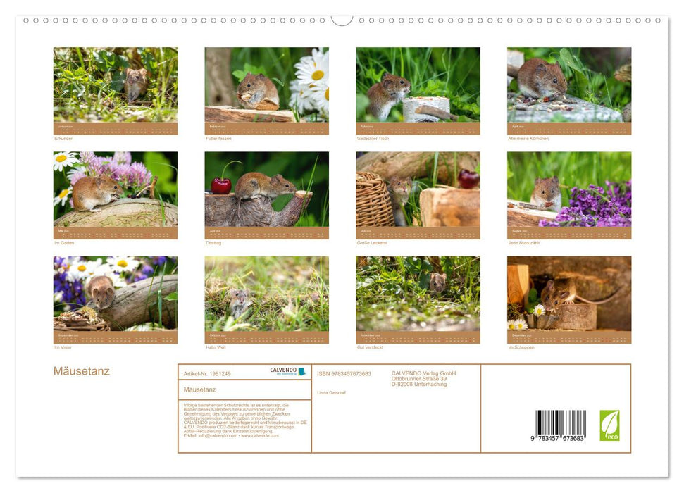 Mäusetanz (CALVENDO Premium Wandkalender 2026)