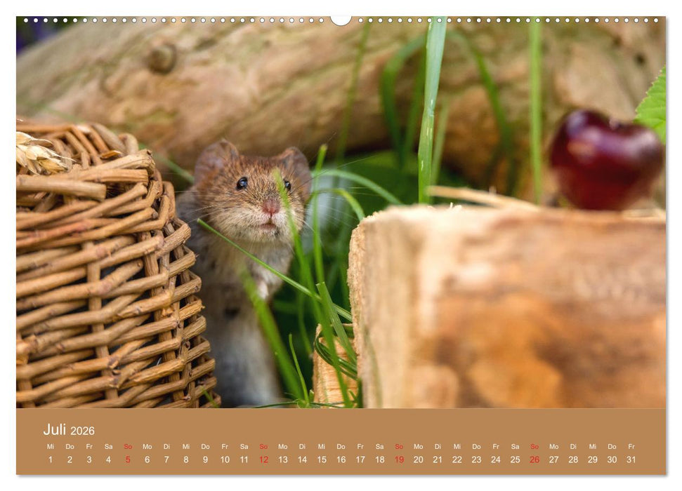 Mäusetanz (CALVENDO Premium Wandkalender 2026)