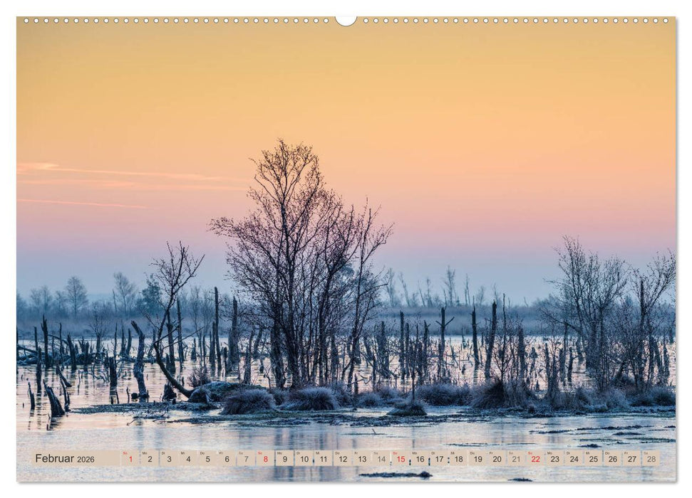 Deutschlands Moore (CALVENDO Wandkalender 2026)