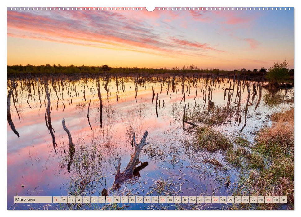 Deutschlands Moore (CALVENDO Wandkalender 2026)