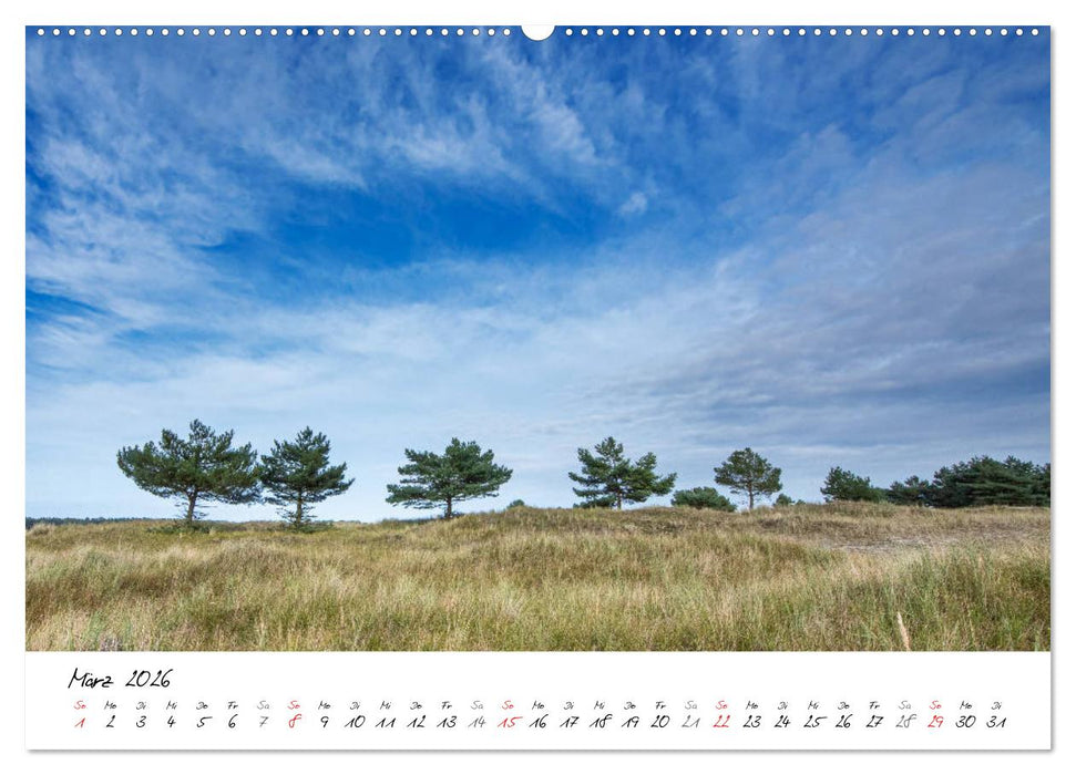 Mein Fischland! Unterwegs auf dem Darß (CALVENDO Premium Wandkalender 2026)