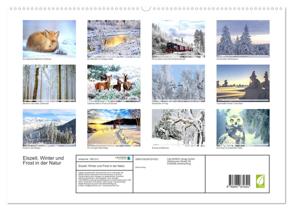 Eiszeit. Winter und Frost in der Natur (CALVENDO Premium Wandkalender 2026)