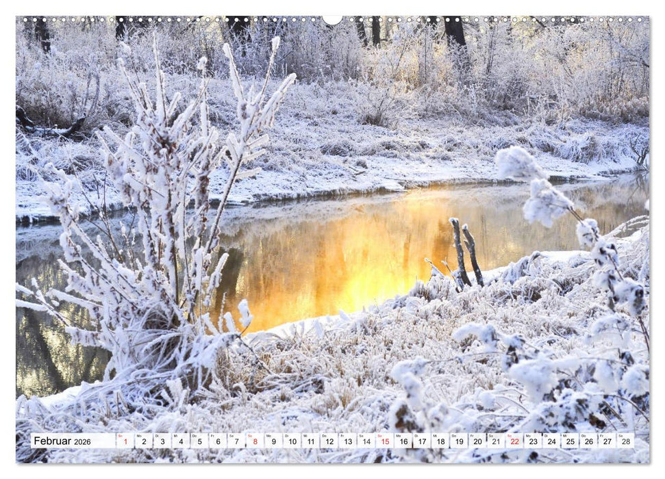 Eiszeit. Winter und Frost in der Natur (CALVENDO Premium Wandkalender 2026)