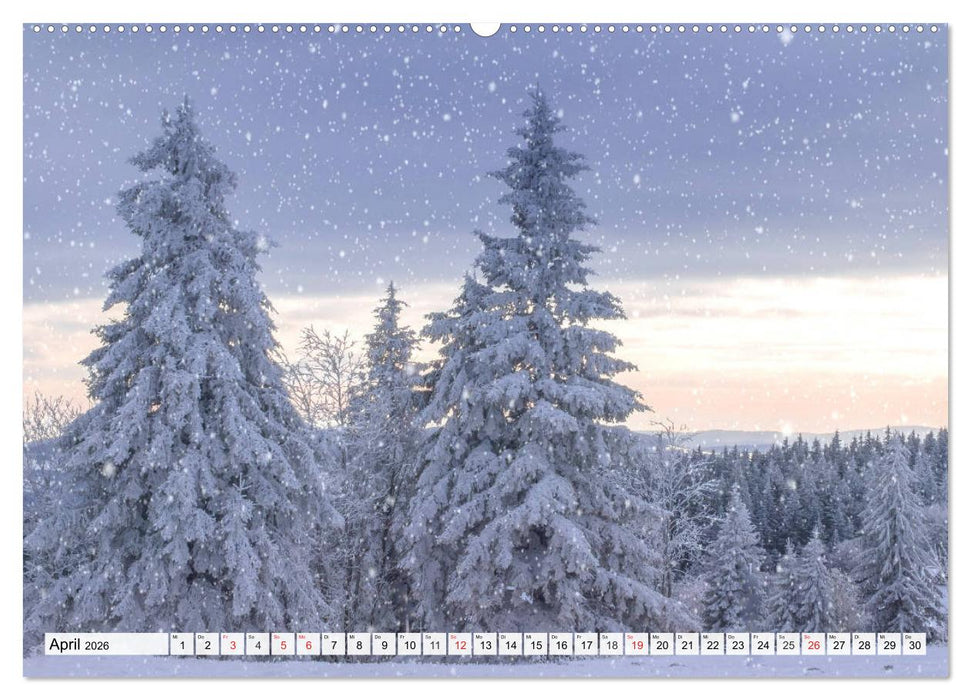 Eiszeit. Winter und Frost in der Natur (CALVENDO Premium Wandkalender 2026)