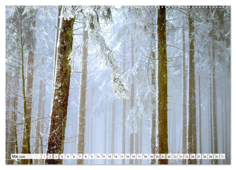 Eiszeit. Winter und Frost in der Natur (CALVENDO Premium Wandkalender 2026)
