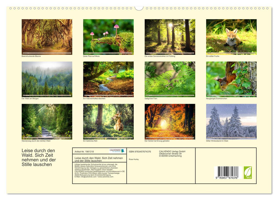 Leise durch den Wald. Sich Zeit nehmen und der Stille lauschen (CALVENDO Premium Wandkalender 2026)