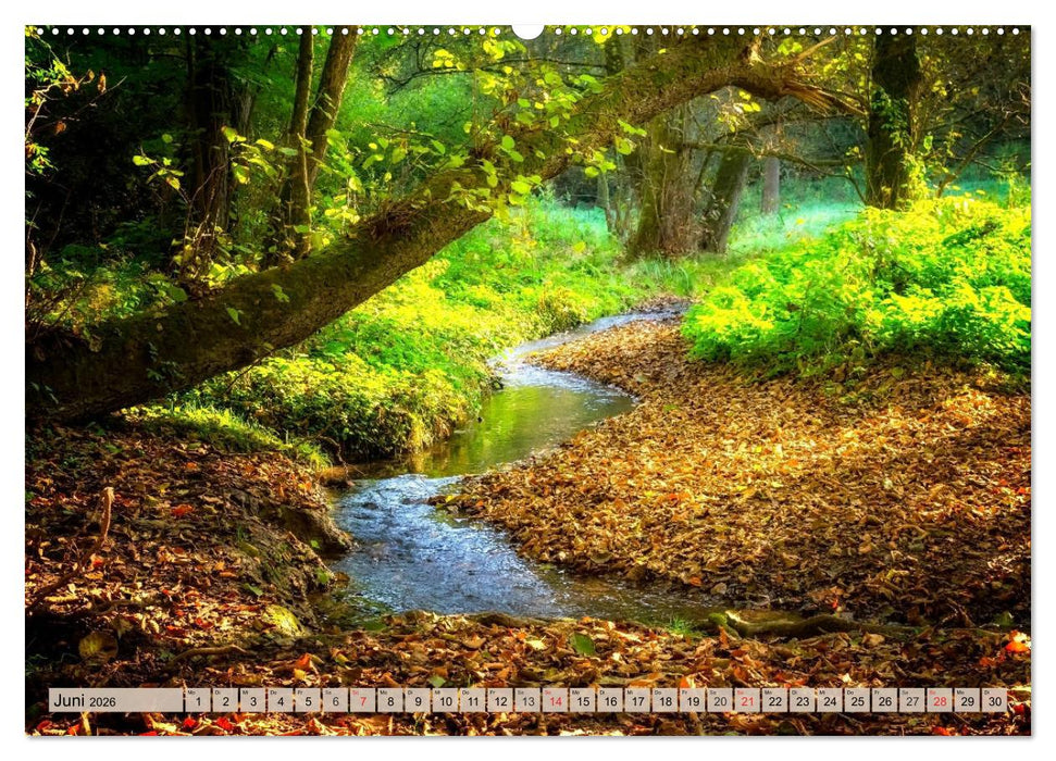 Leise durch den Wald. Sich Zeit nehmen und der Stille lauschen (CALVENDO Premium Wandkalender 2026)