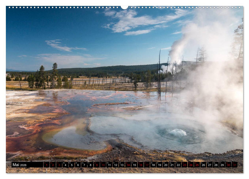 Einmal um die Welt... (CALVENDO Premium Wandkalender 2026)