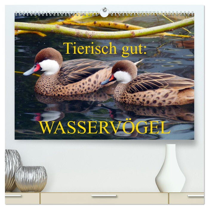 Tierisch gut: Wasservögel (CALVENDO Premium Wandkalender 2026)