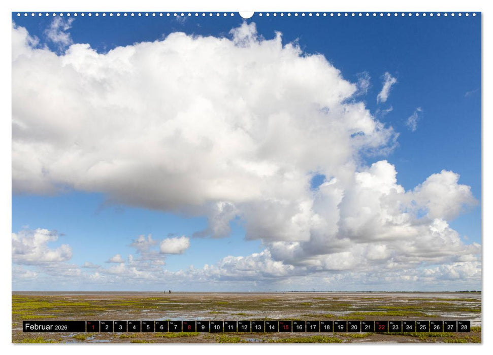 Welterbe Wattenmeer (CALVENDO Wandkalender 2026)
