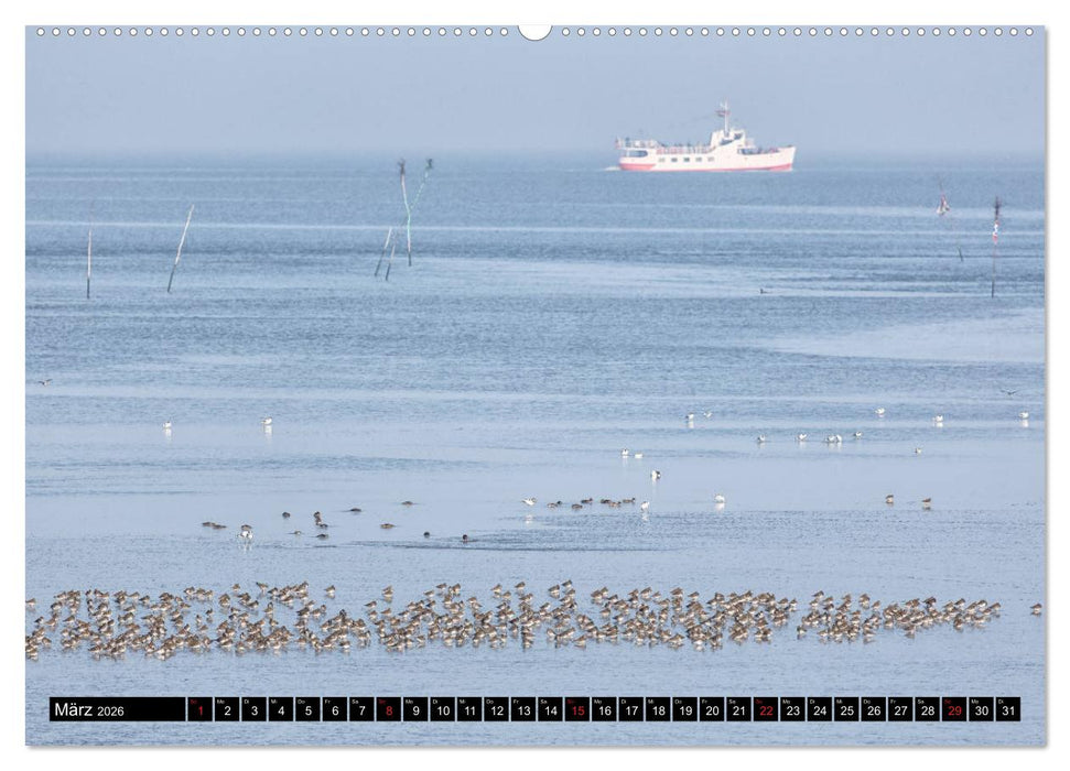Welterbe Wattenmeer (CALVENDO Wandkalender 2026)