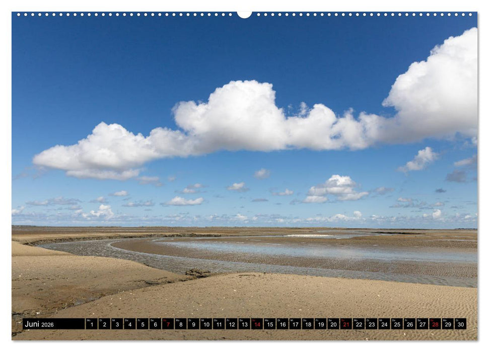 Welterbe Wattenmeer (CALVENDO Wandkalender 2026)