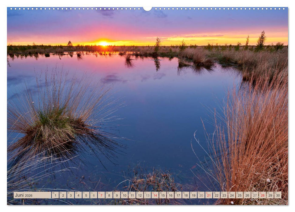 Deutschlands Moore (CALVENDO Premium Wandkalender 2026)
