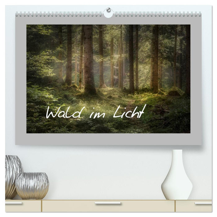 Wald im Licht (CALVENDO Premium Wandkalender 2026)